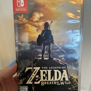 Zelda Breath of the Wild game